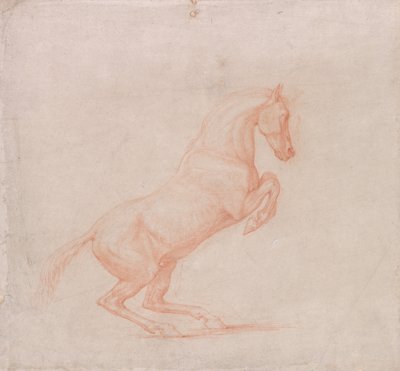 Un cavallo impennato, rivolto a destra da George Stubbs